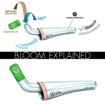 bloomexplained6_550x550_.jpg